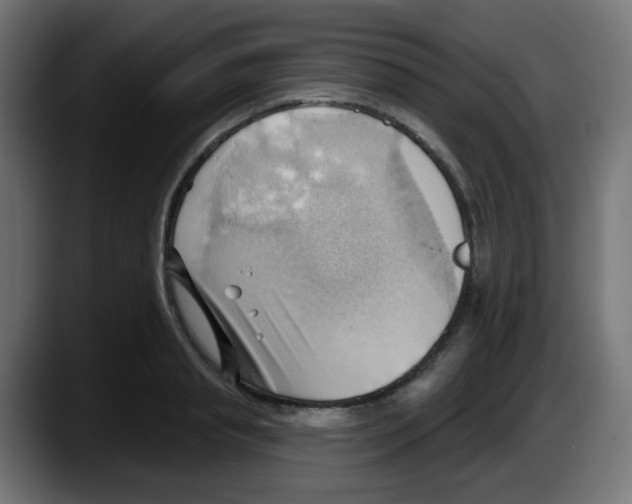 X0000087550845200705251738