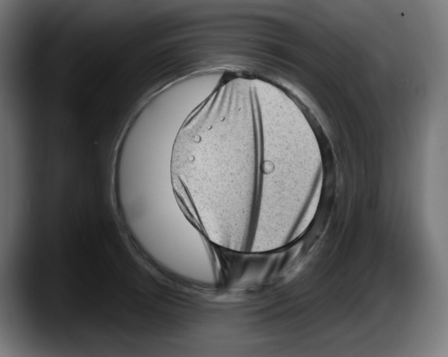 X0000087550850200705251739