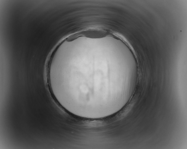 X0000087550851200705251739