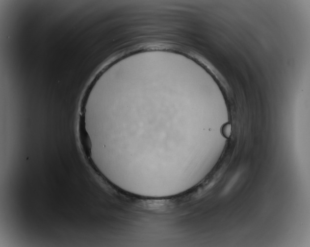 X0000087550853200705251739