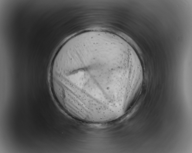 X0000087550855200705251739