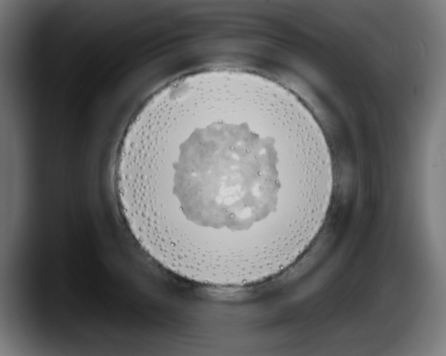 X0000087550856200705251739