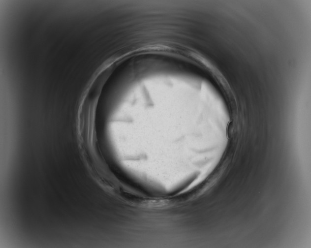 X0000087550858200705251739