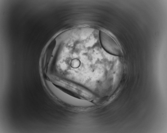 X0000087550859200705251739