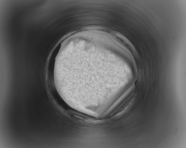 X0000087550860200705251739