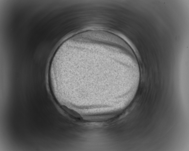 X0000087550861200705251739