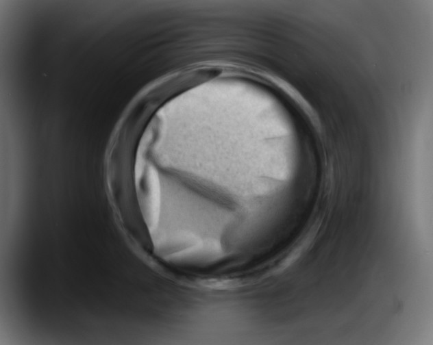 X0000087550862200705251739