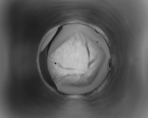 X0000087550863200705251739