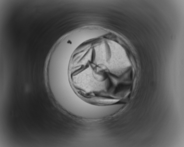 X0000087550864200705251739