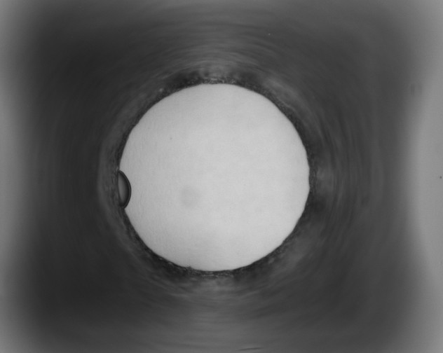 X0000087550865200705251738