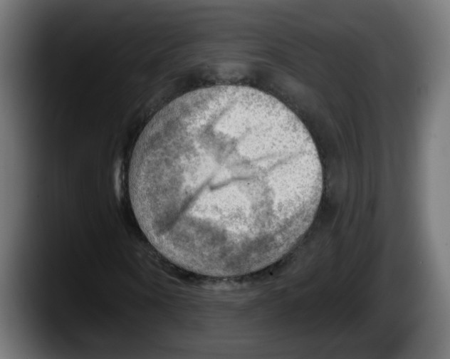X0000087550866200705251738