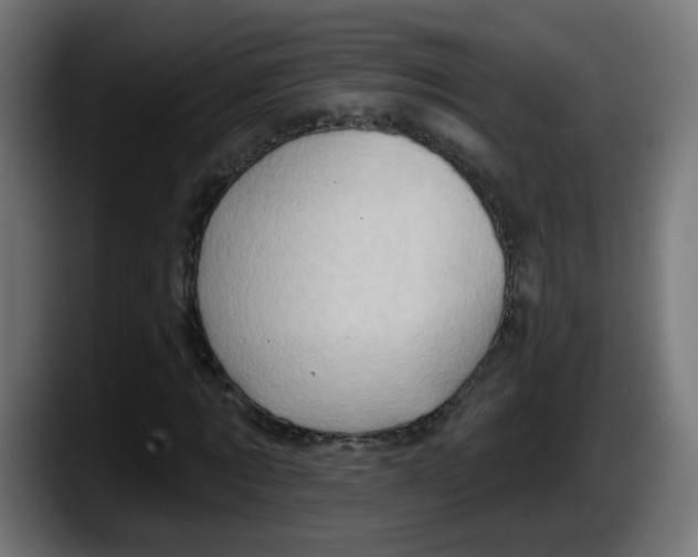 X0000087550869200705251738