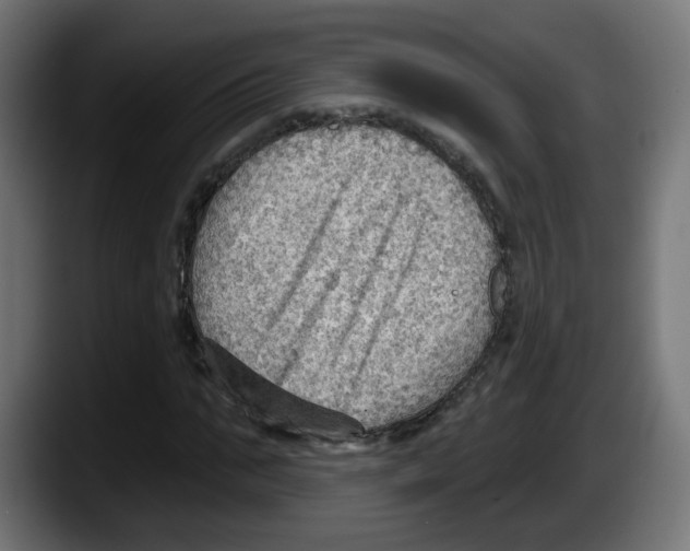 X0000087550871200705251738