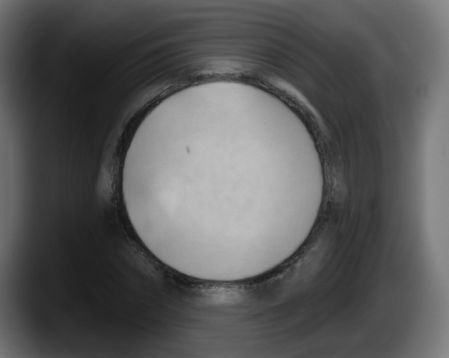 X0000087550874200705251738