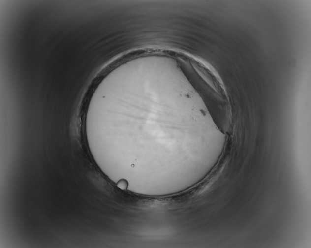 X0000087550879200705251738