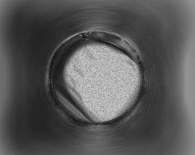 X0000087550880200705251738