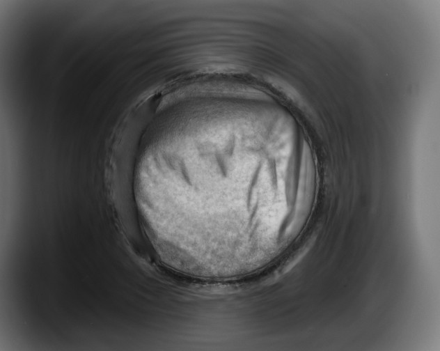 X0000087550881200705251738