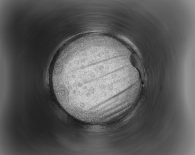 X0000087550883200705251738