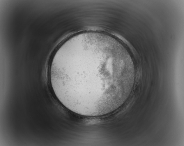 X0000087550886200705251738