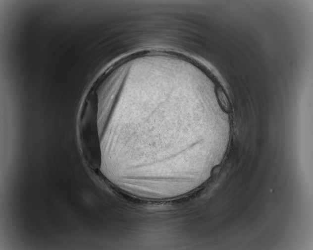 X0000087550887200705251738
