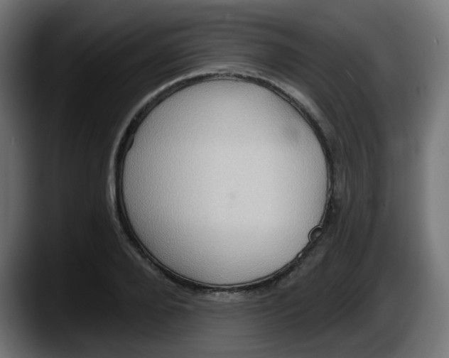 X0000087550888200705251738