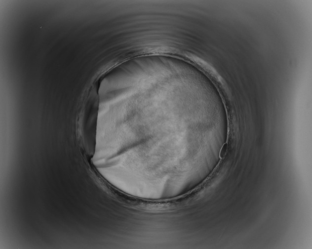 X0000087550889200705251738