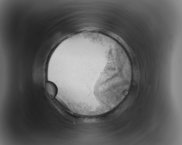 X0000087550890200705251738