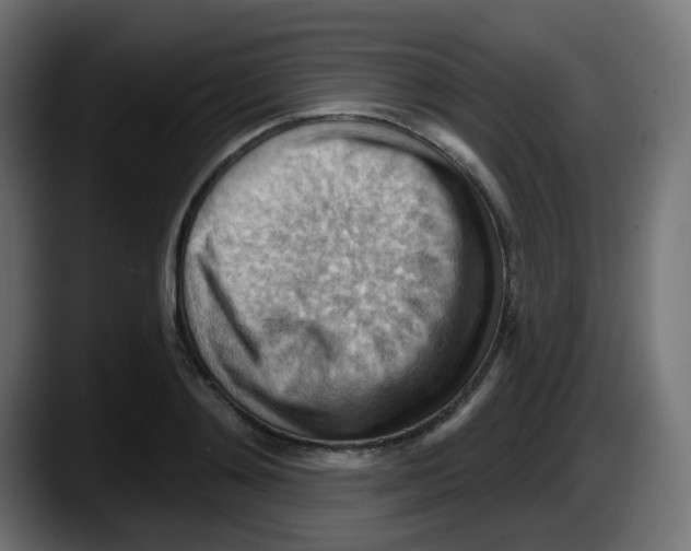 X0000087550892200705251738