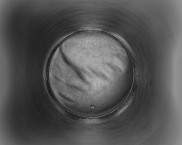 X0000087550893200705251738