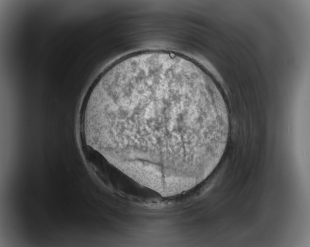 X0000087550895200705251738