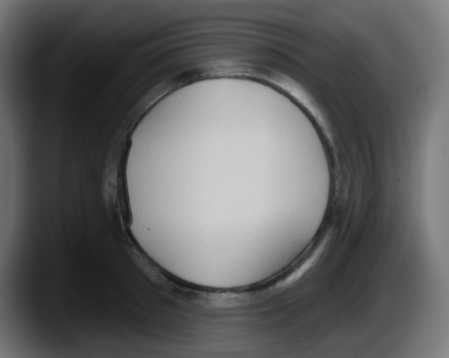 X0000087550897200705251738