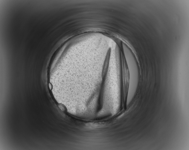 X0000087550898200705251738