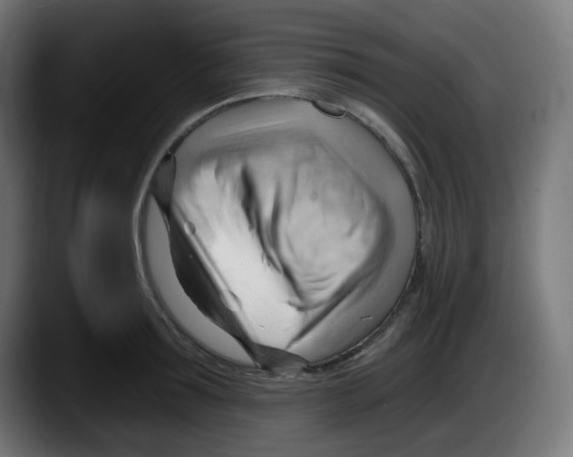 X0000087550899200705251738