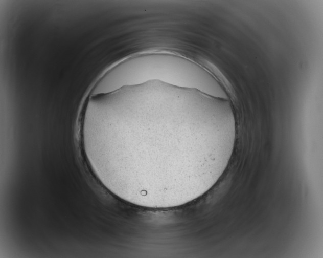 X0000087550900200705251738