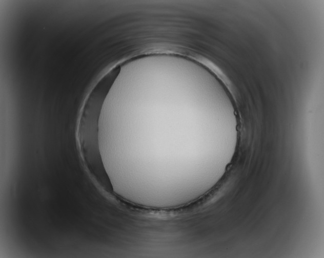 X0000087550901200705251738