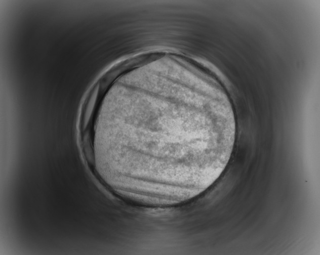 X0000087550902200705251738