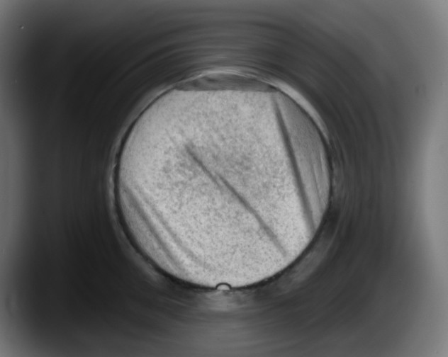 X0000087550906200705251738