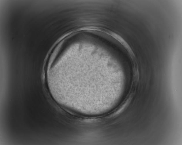 X0000087550908200705251738