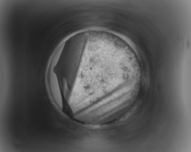 X0000087550911200705251737