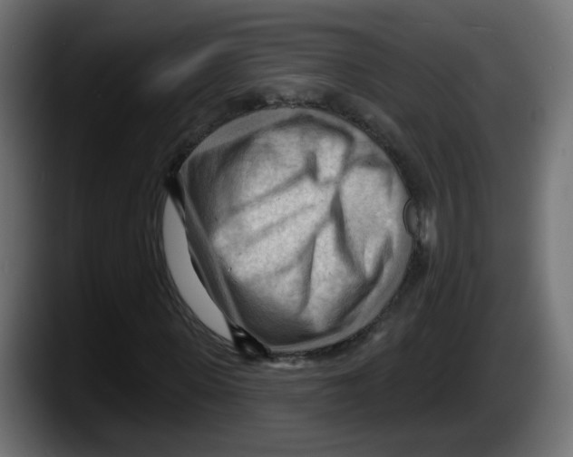 X0000087550915200705251737