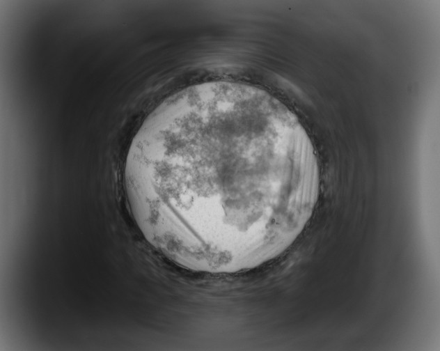 X0000087550917200705251737