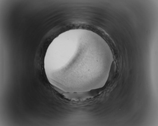 X0000087550919200705251737