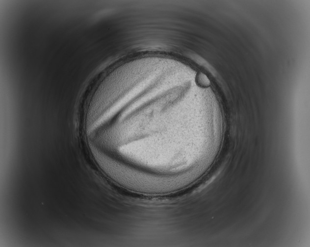 X0000087550922200705251737