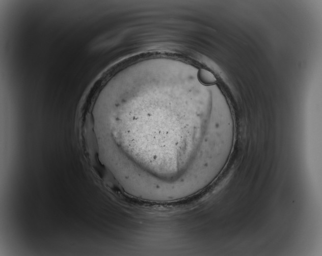 X0000087550923200705251737