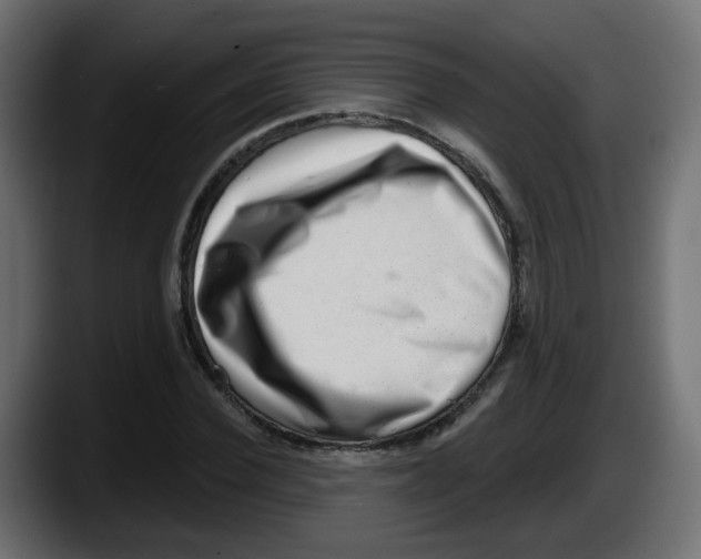 X0000087550924200705251737