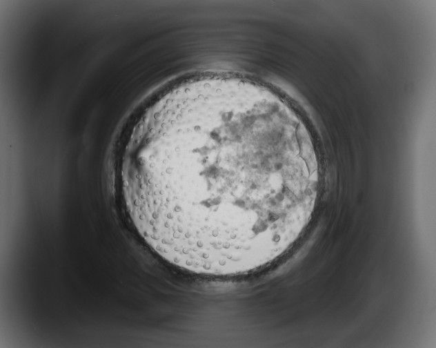 X0000087550925200705251737