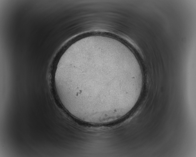 X0000087550926200705251737