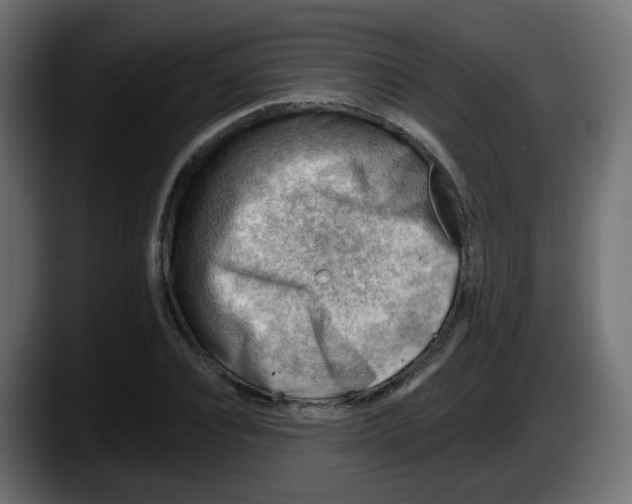 X0000087550928200705251737