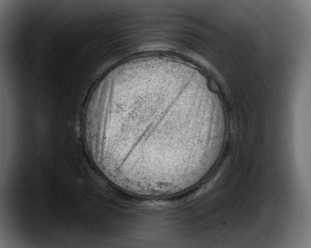 X0000087550929200705251737