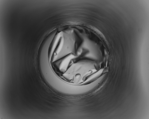 X0000087550930200705251737